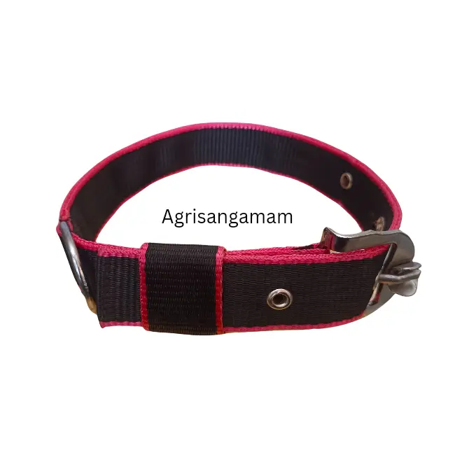 High Quality Adjustable Nylon Dog Collar Belt