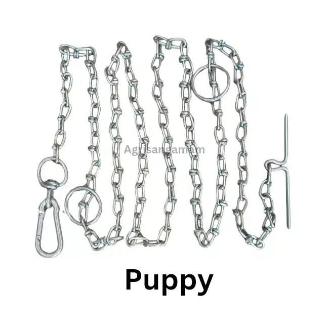 dog chain