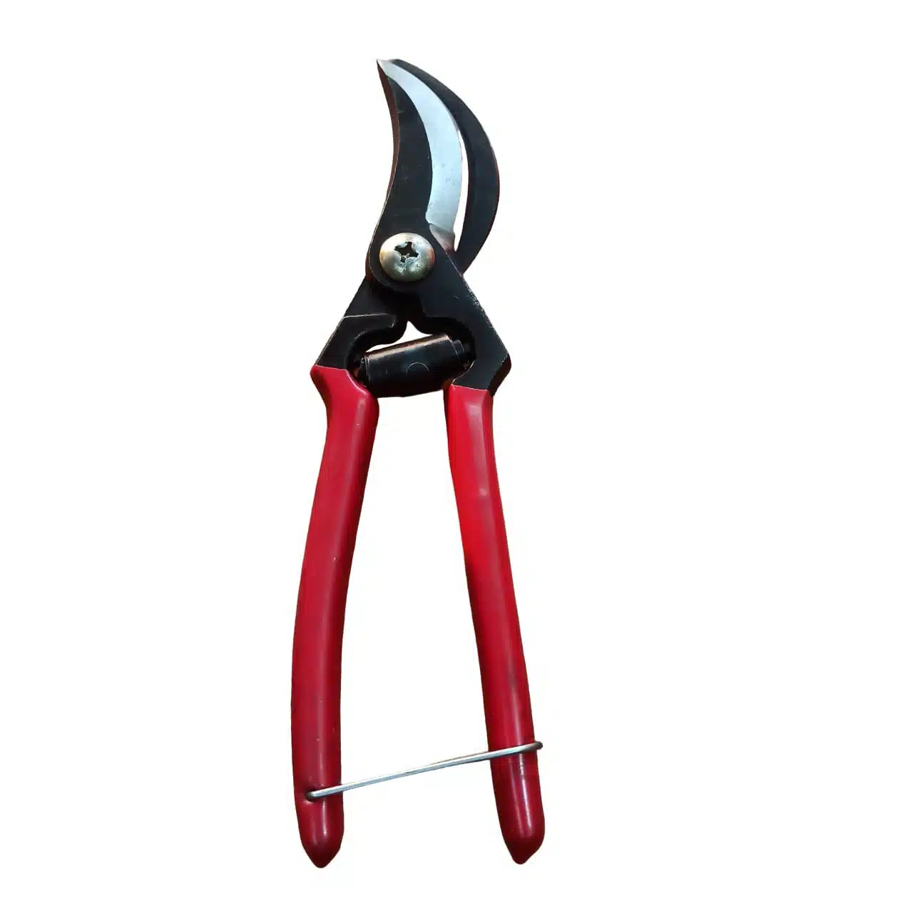 Garden scissor