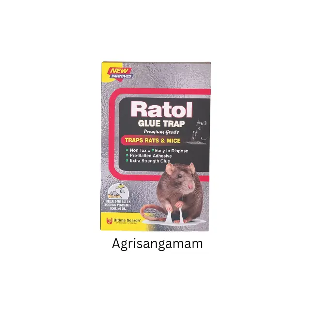 Rat Glue Pad