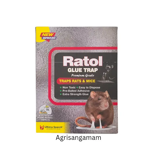 Rat Glue Pad