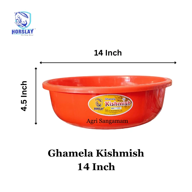 Plastic Ghamela Kishmish 14 Inch Horslay