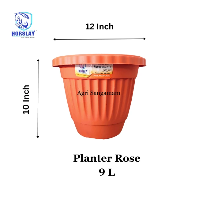 9L Planter Rose