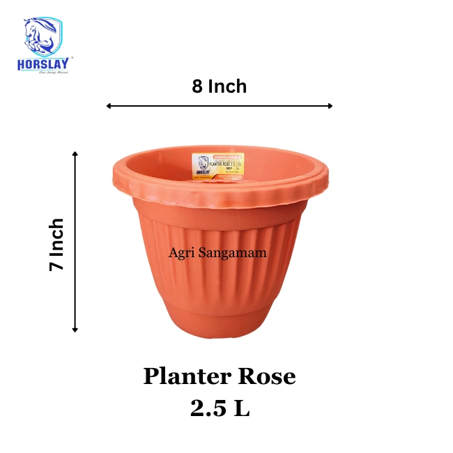 Unbreakable Plastic Planter Rose 2.5L Horslay